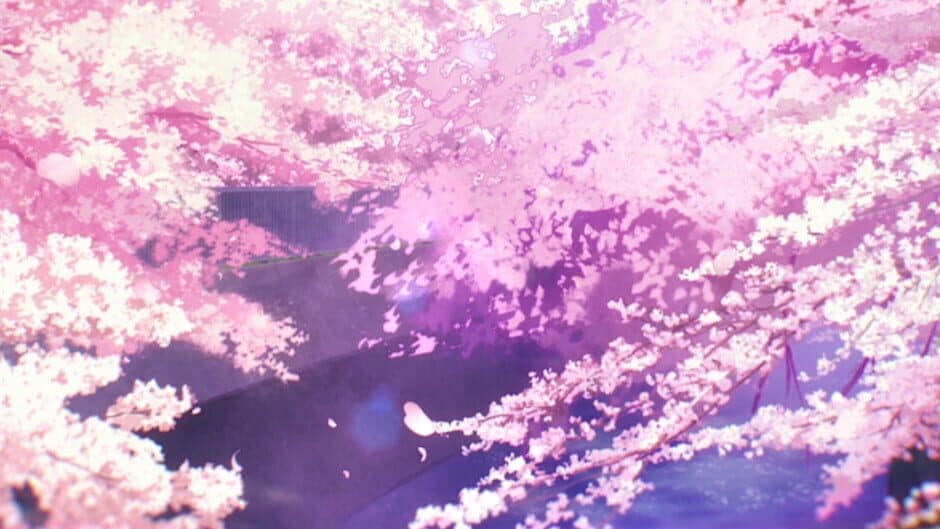 One Room: Yui Hanasaka Memorial banner