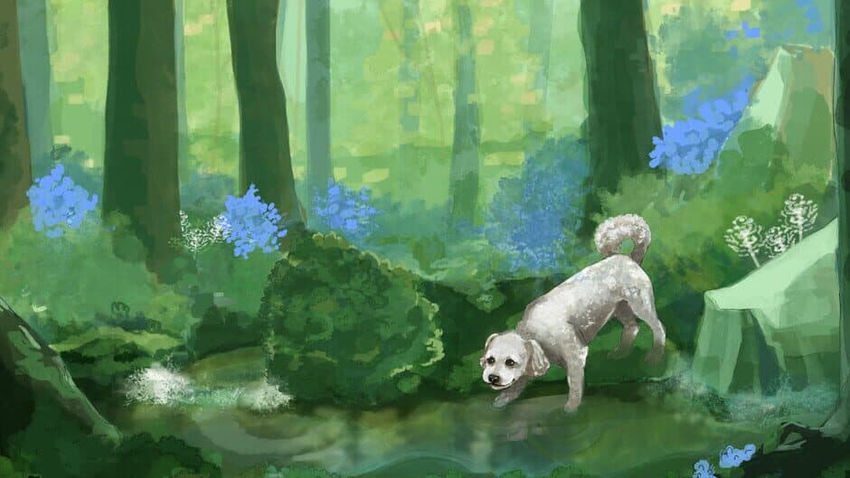 Dog Walking Adventures banner