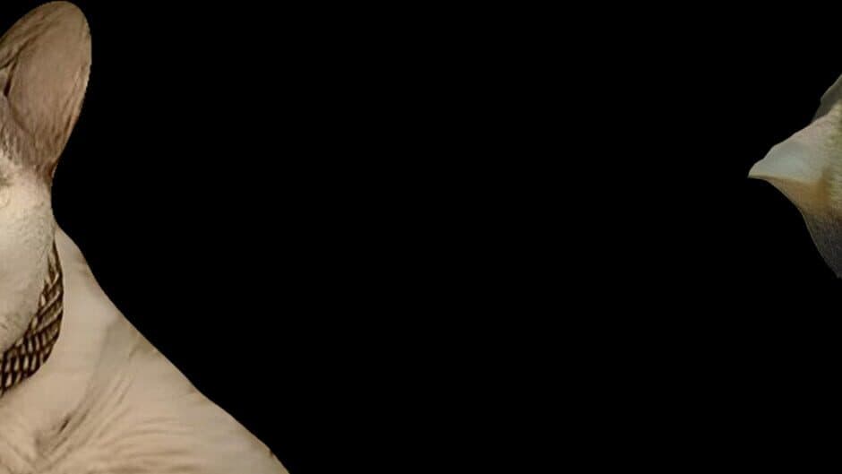 Boo! Are you scared? banner