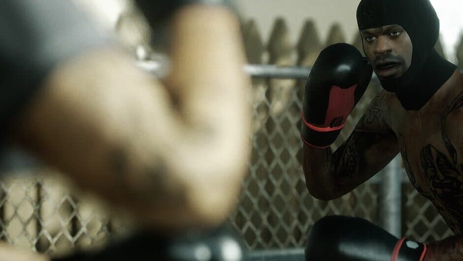 Backyard Boxing banner