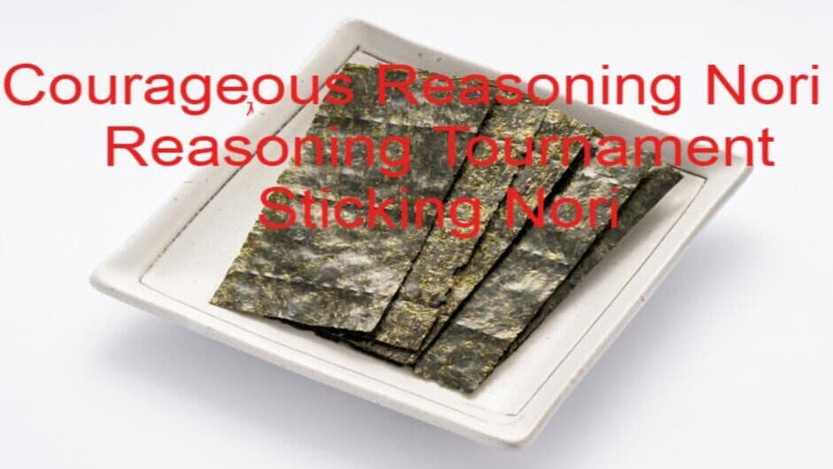 Courageous Reasoning Nori 9 Reasoning Tournament Sticking Nori banner