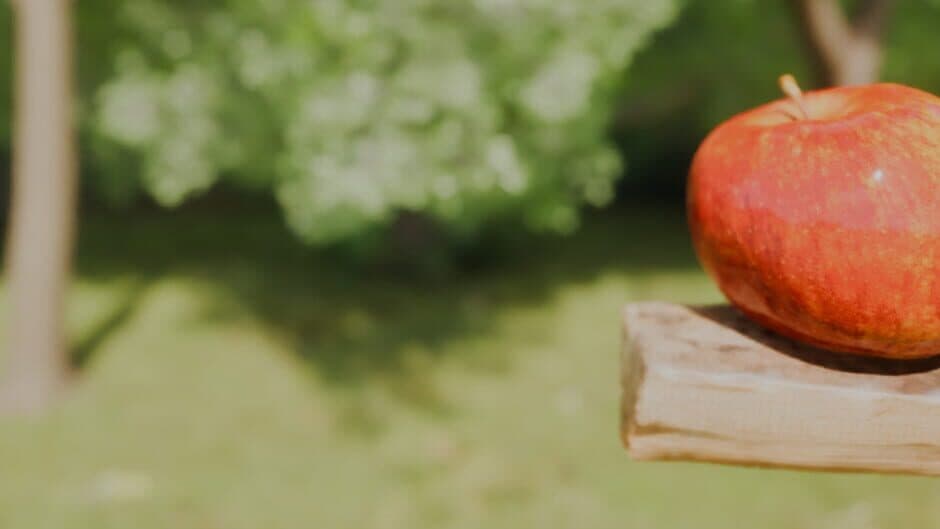 Gravity's Apple banner