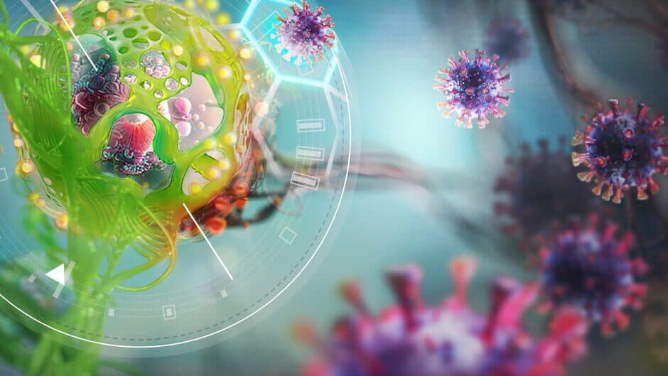 Gelluloid Domination banner