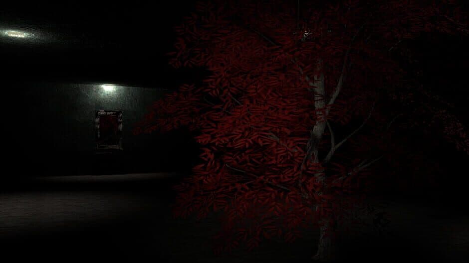 Sally's House banner