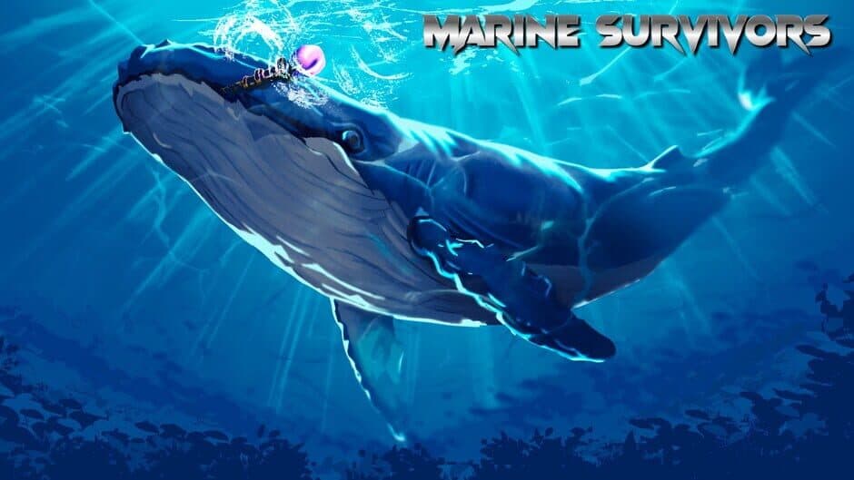 Marine Survivors banner