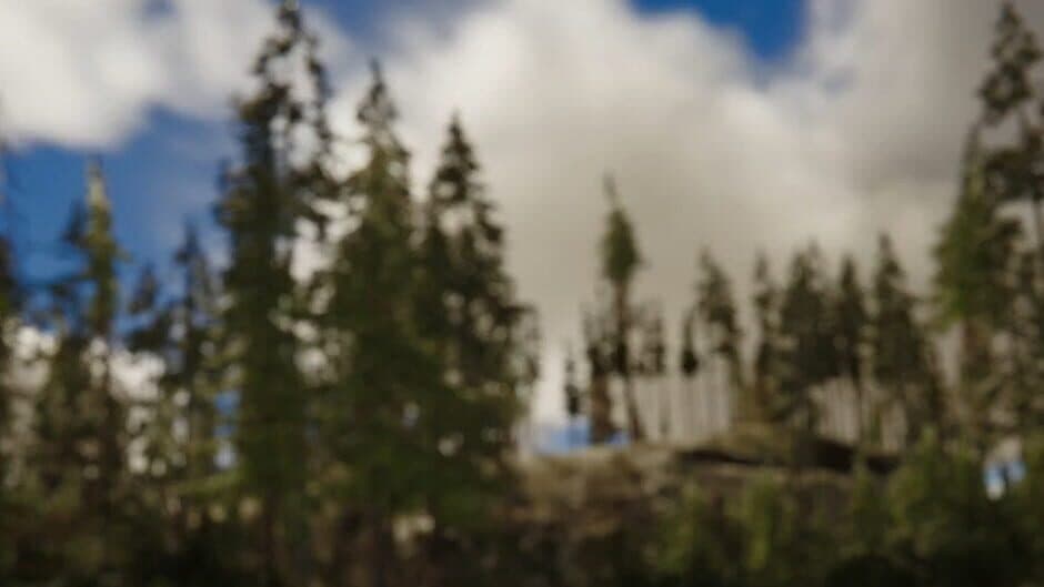 Pohinki Simulator banner