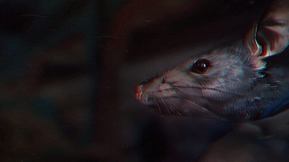 We're Closed Sorry banner