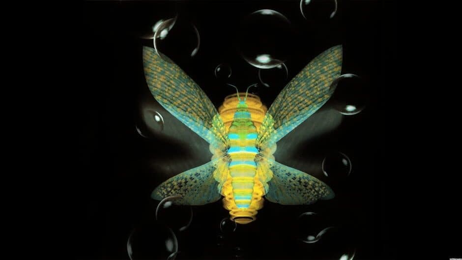 Jade Cocoon 2 banner