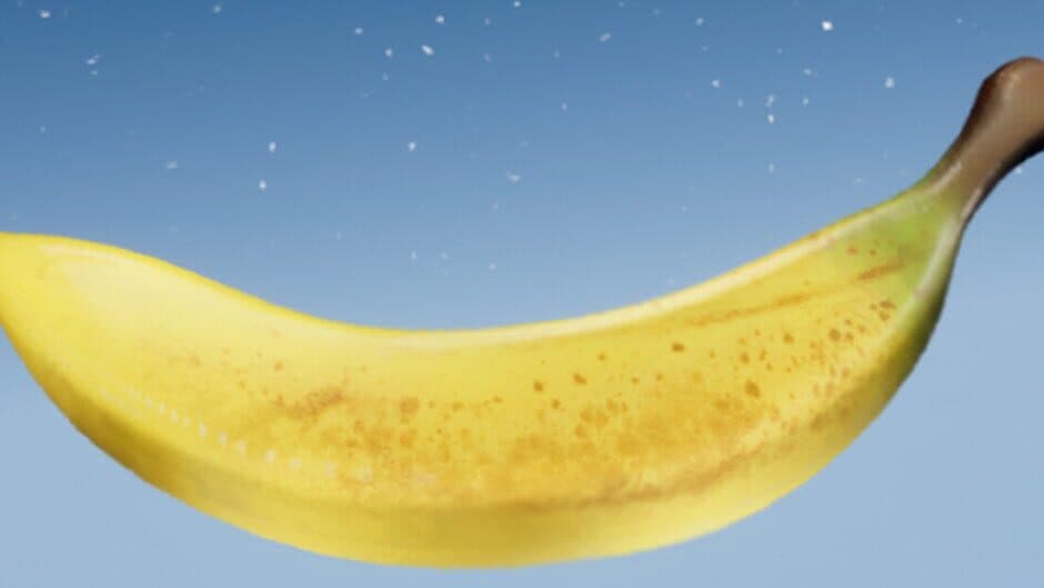 Banana Ragdoll banner