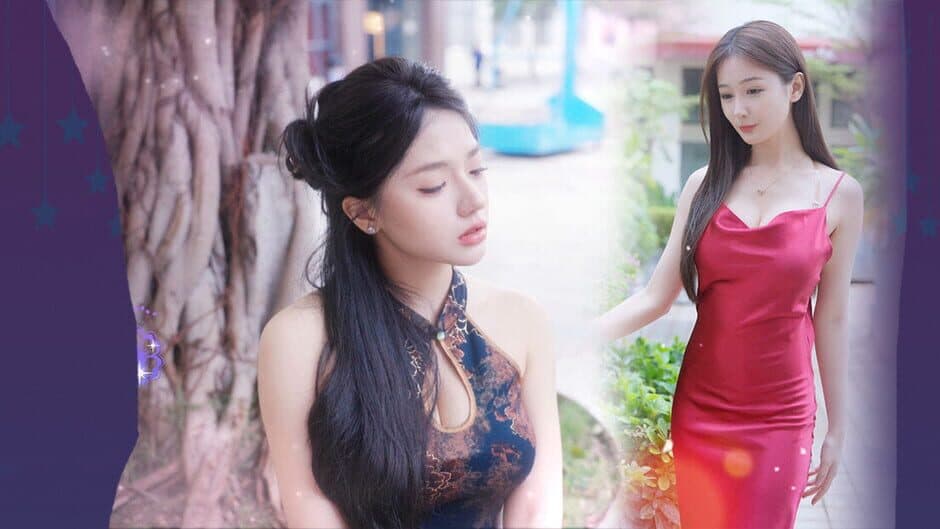 Star Dream Journey banner