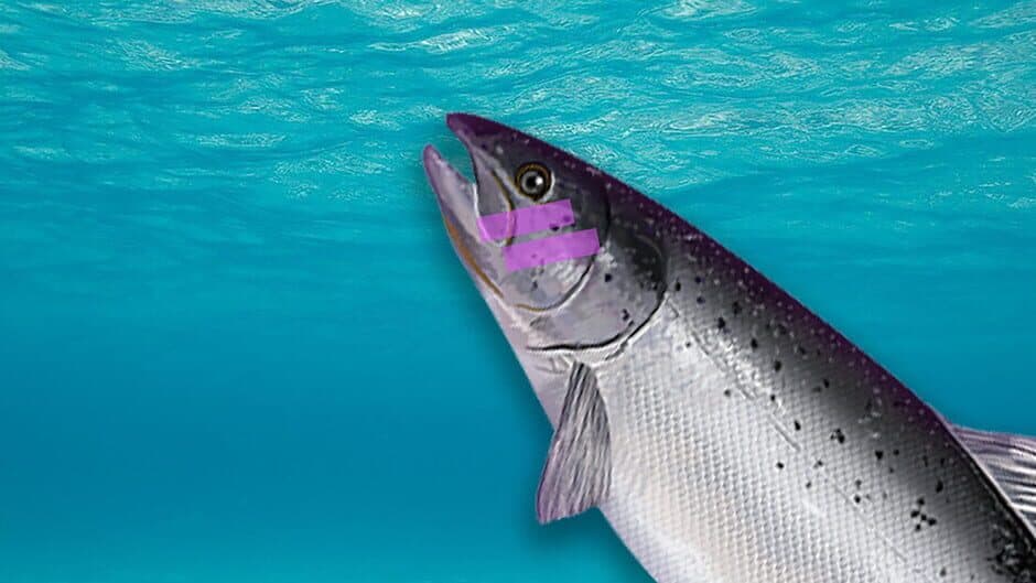 Plenty of Fish in the Sea banner