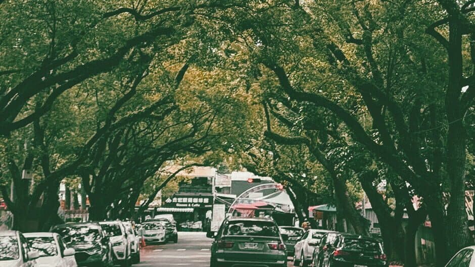 Zhong Xing New Village banner