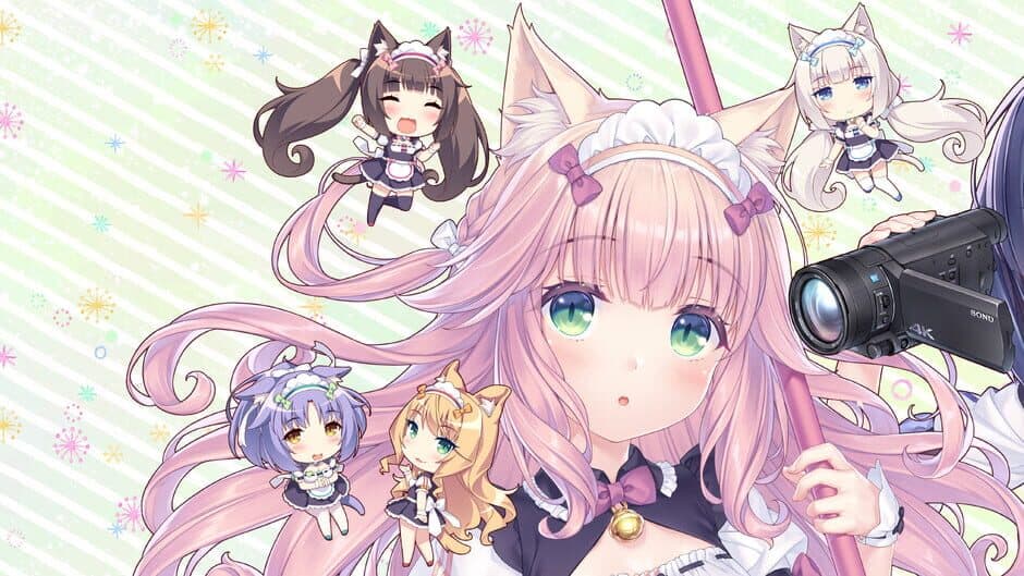 Nekopara After banner