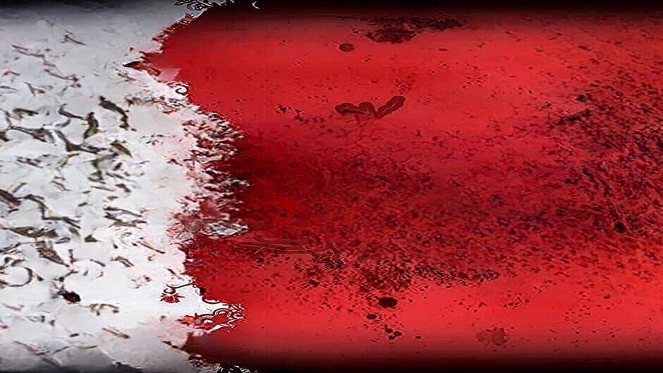 The Nightmare of Pandemic: Kyle's Story banner