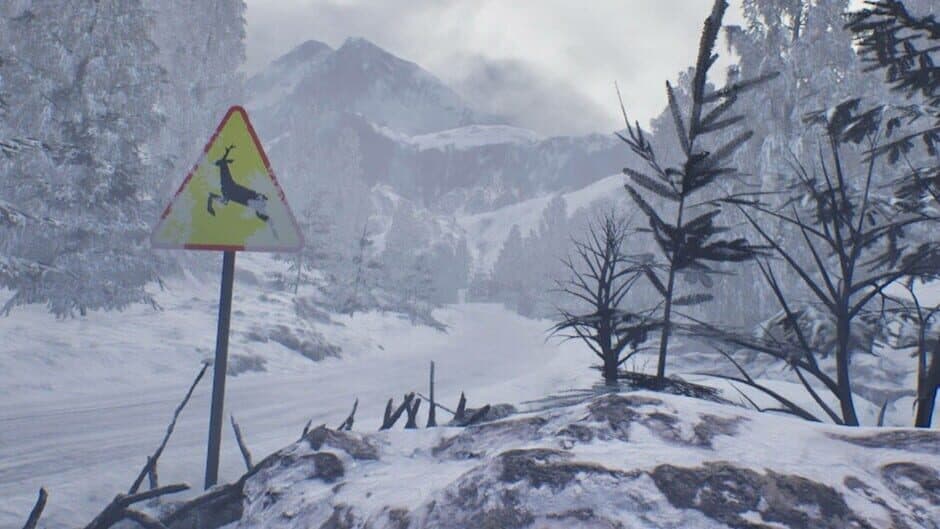 Forest Asylum banner