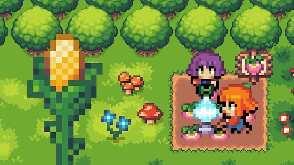 Relaxing Fields banner