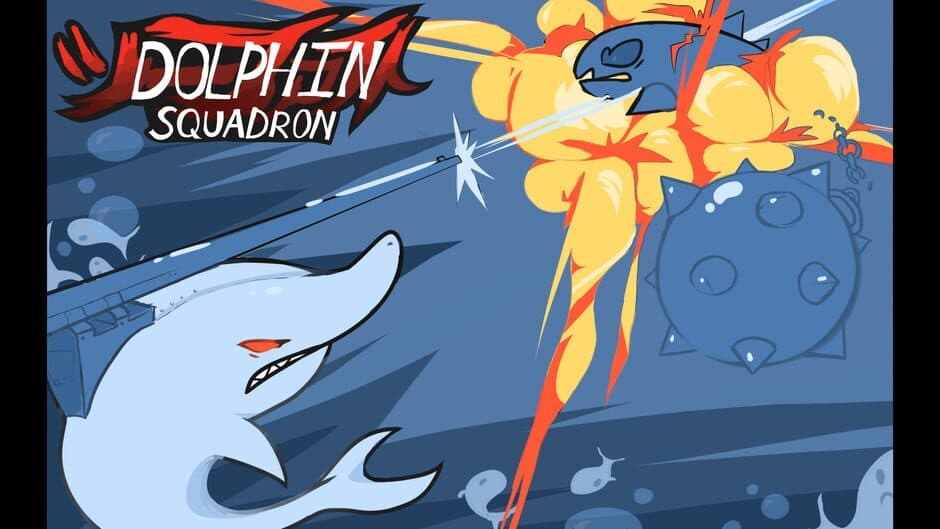 Dolphin Squadron banner