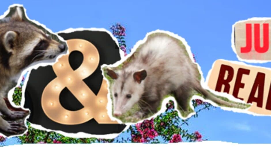 Raccoon & Possum Just Want to Read a Book banner