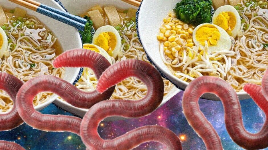 Magic Planet Snack banner