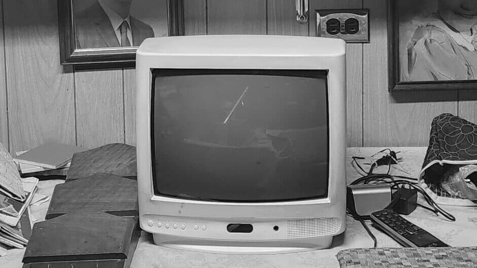 Radley Ravencroft's Spy Web Mystery banner