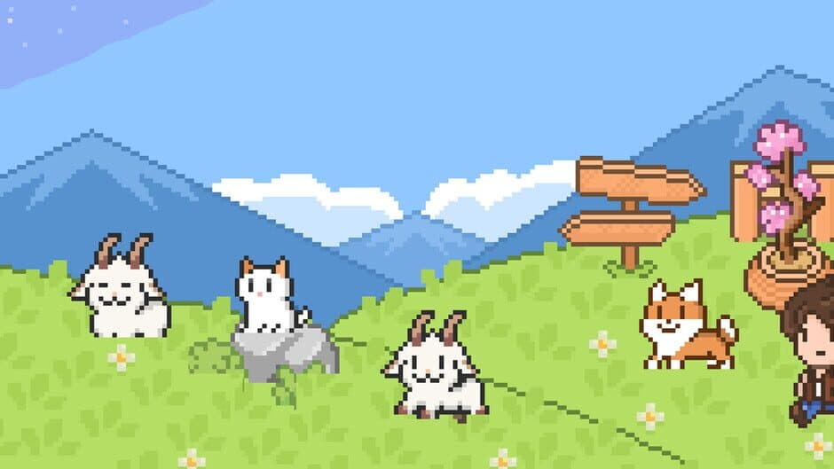 My Heaven's Dale banner