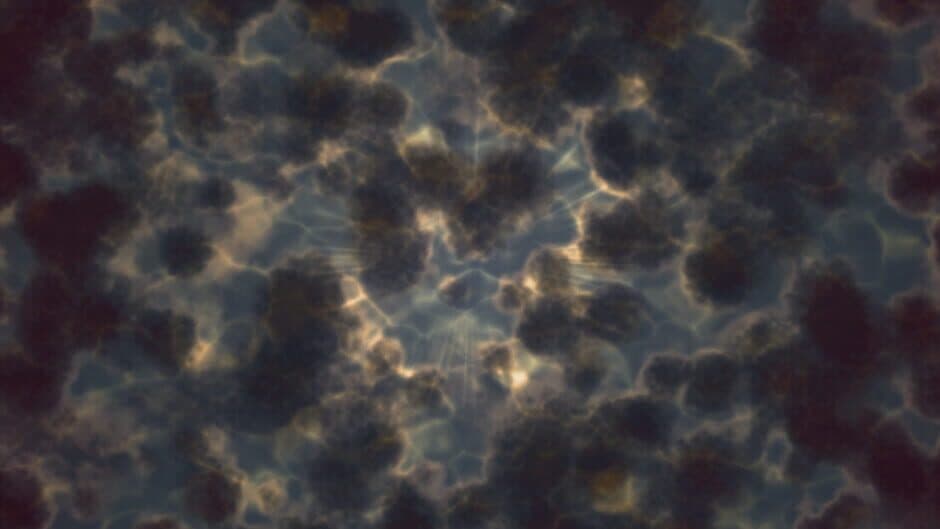 Super Swarmer Survivors banner