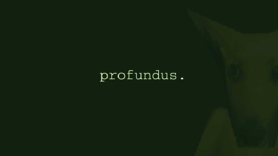 Profundus banner