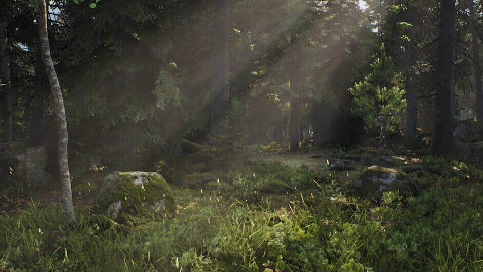 Mushroom Hunter Simulator banner