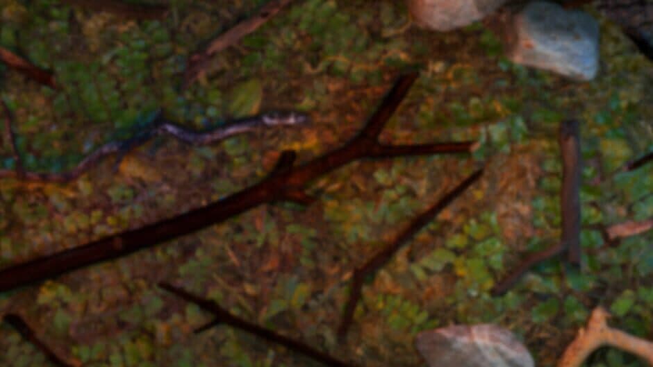 Finding Cool Sticks banner