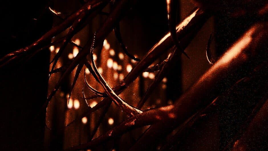 Cult of Flies banner