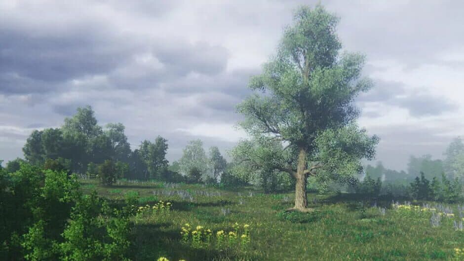 Simulyator Odinochestva V Russkoy Derevne banner