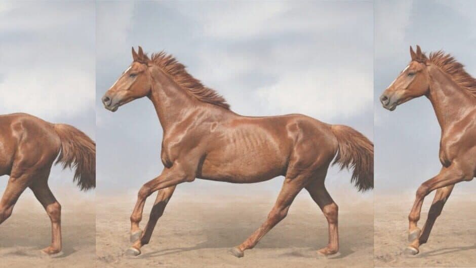 HgmGame Horse banner