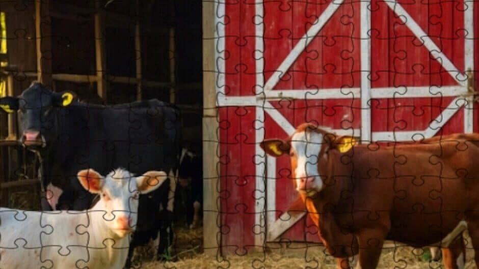 Farmyard Pals Jigsaw Puzzles banner