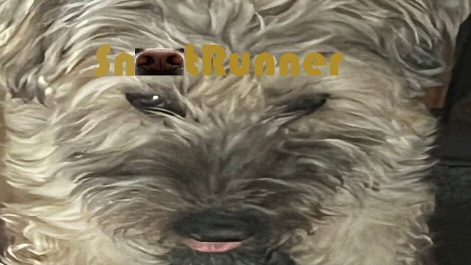 Snoot Runner banner