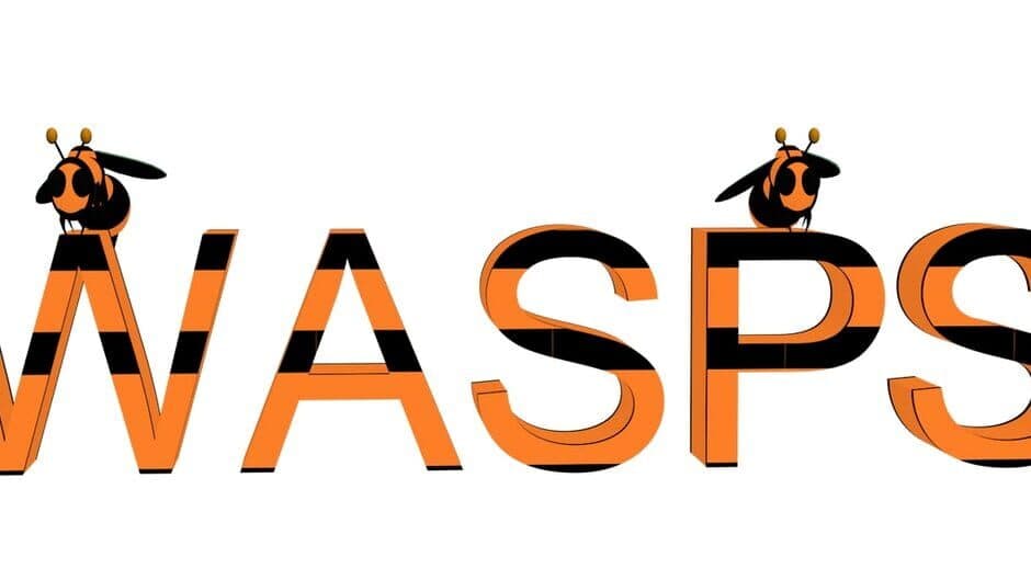 Wasps banner
