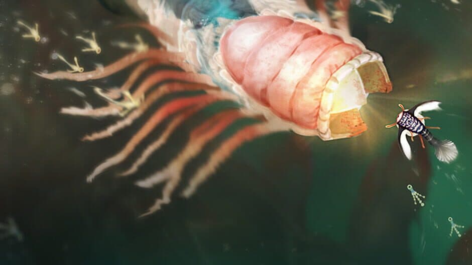 Wavekin banner