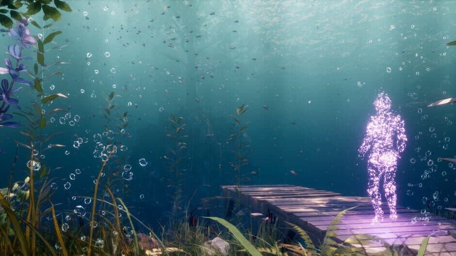 Echoes of Mora banner