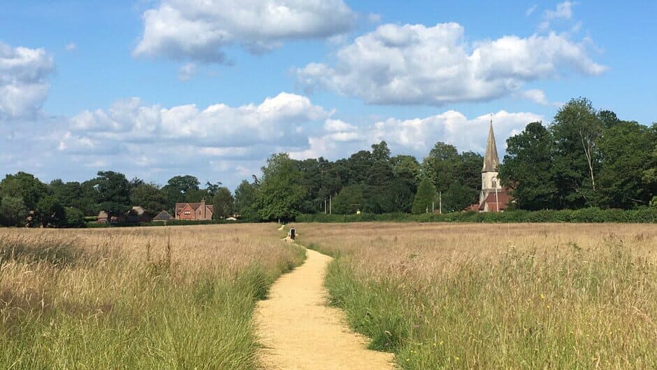 Wordsearch Attack banner