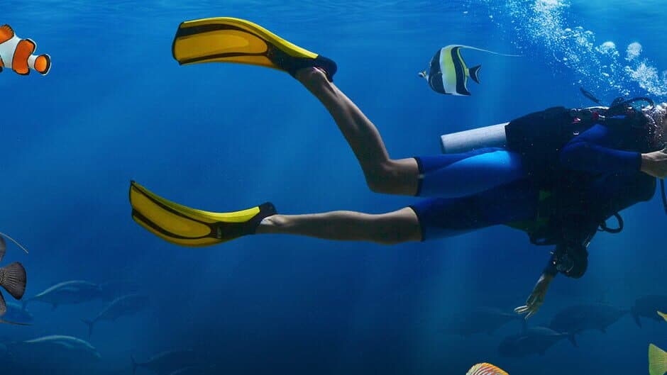 Sea Life Explorer Collector's Edition banner