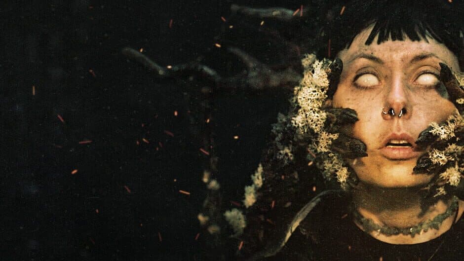 Heart of the Forest banner