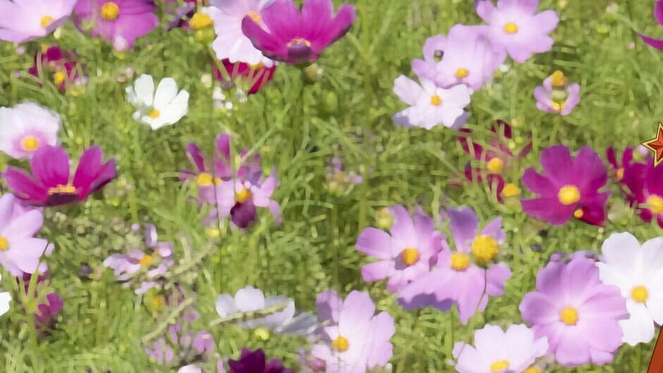 Choyo Girl Lilina 2 banner