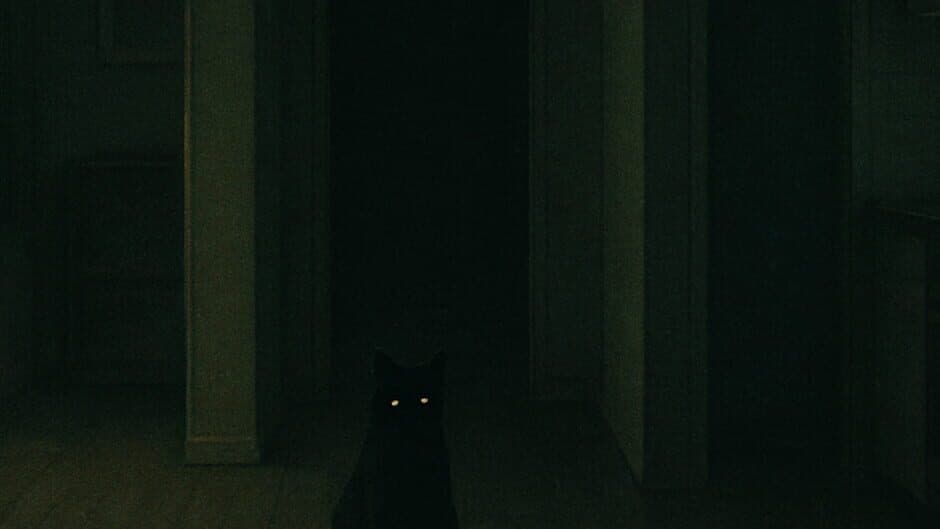 Don't Feed the Cat banner