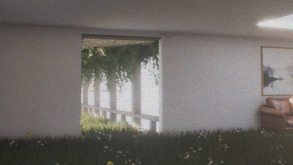 Millennium Dream banner