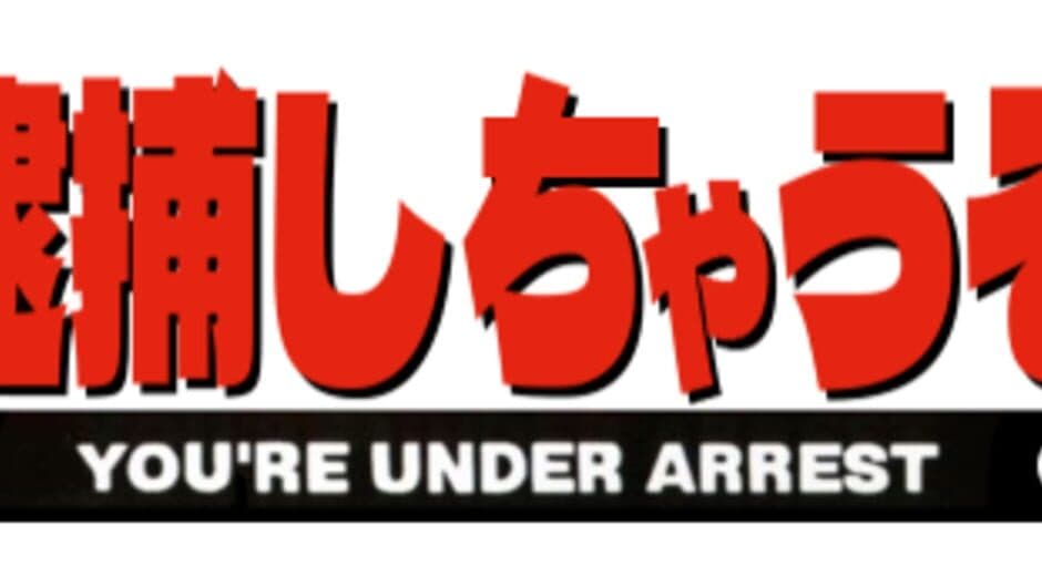 You're Under Arrest banner