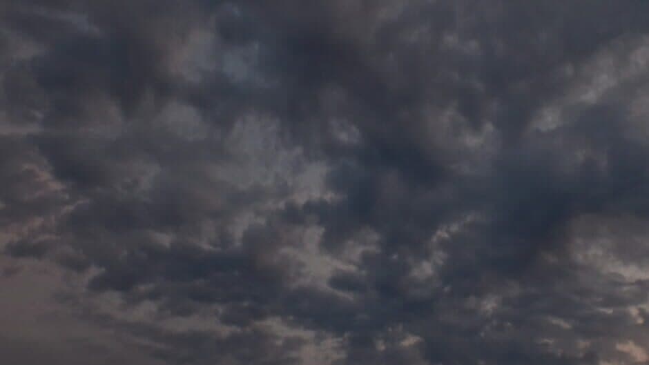 Grass Life Sim 2 banner