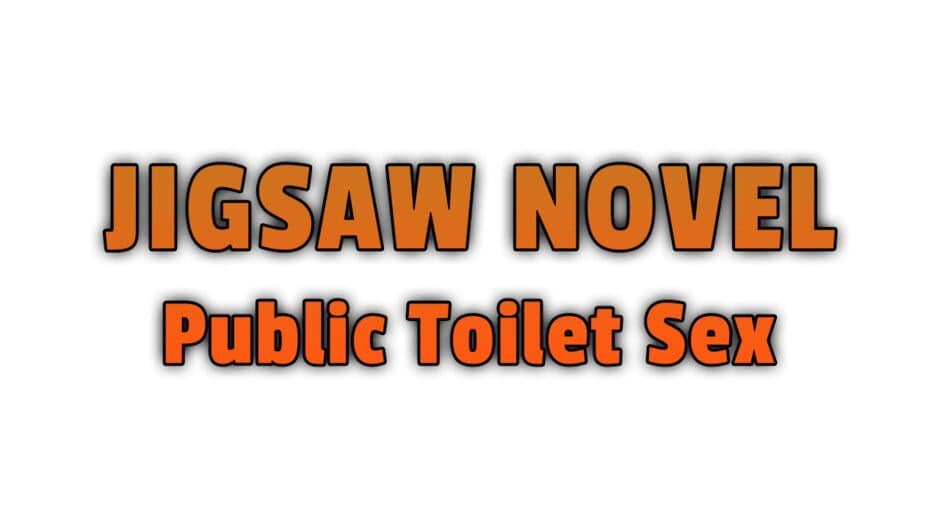 Jigsaw Novel: Public Toilet Sex banner