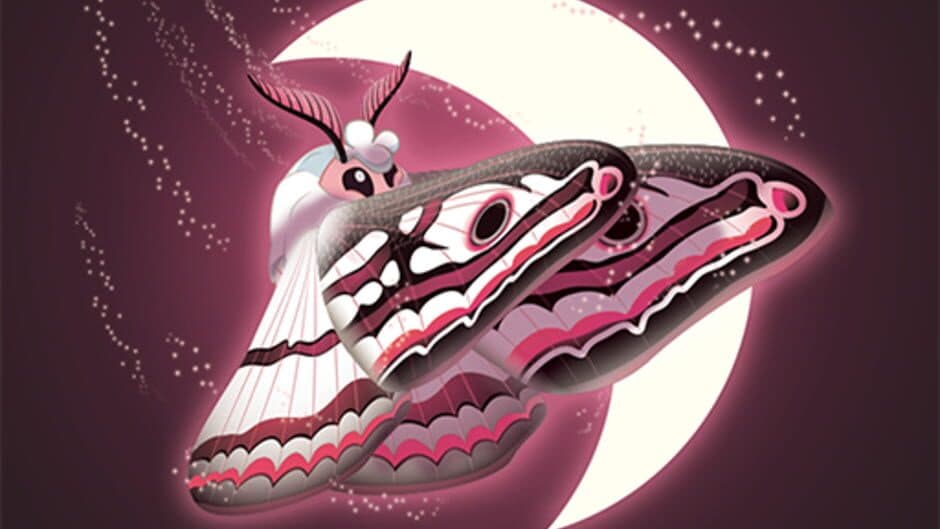 Flutter: Starlight banner