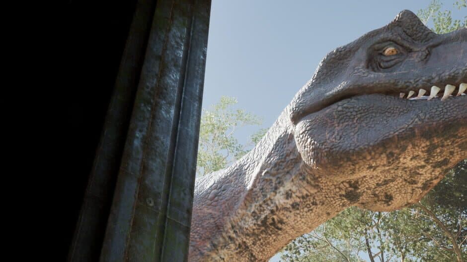 Extinct Forest banner