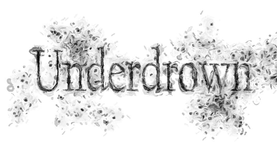 Underdrown banner