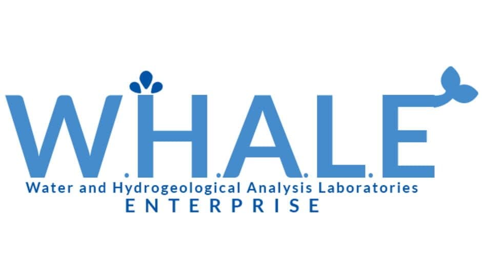 W.H.A.L.E. banner
